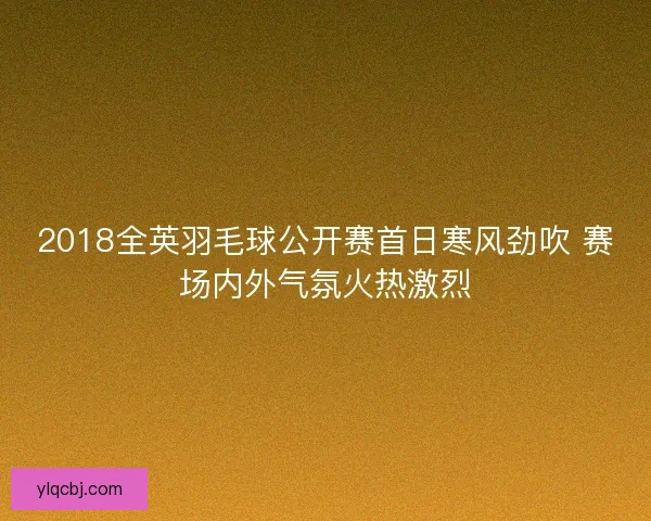 2018全英羽毛球公开赛首日寒风劲吹 赛场内外气氛火热激烈