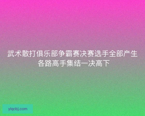 武术散打俱乐部争霸赛决赛选手全部产生 各路高手集结一决高下