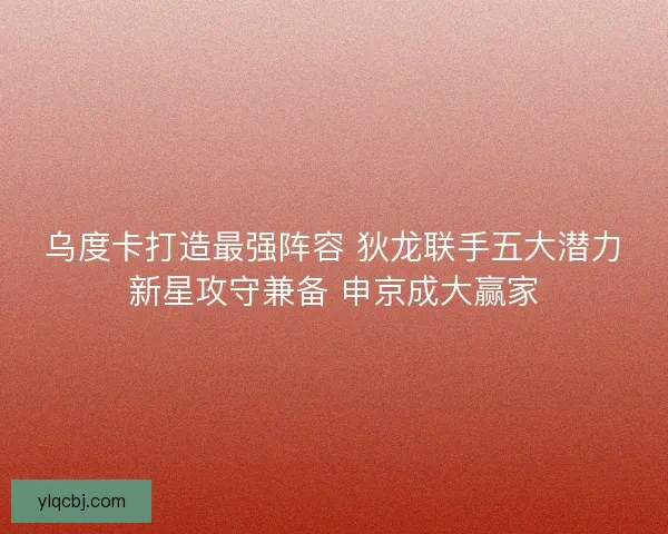乌度卡打造最强阵容 狄龙联手五大潜力新星攻守兼备 申京成大赢家 乌度卡打造最强阵容 狄龙联手五大潜力新星攻守兼备 申京成大赢家