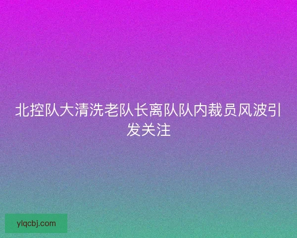北控队大清洗老队长离队队内裁员风波引发关注