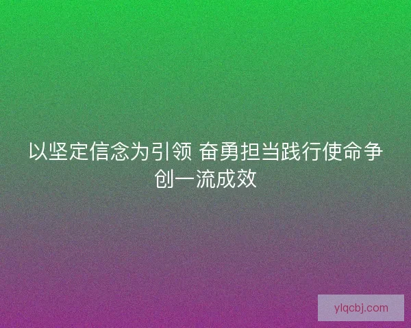 以坚定信念为引领 奋勇担当践行使命争创一流成效
