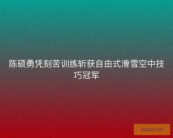 陈硕勇凭刻苦训练斩获自由式滑雪空中技巧冠军 陈硕勇凭刻苦训练斩获自由式滑雪空中技巧冠军